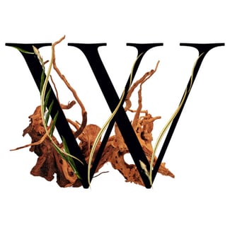 Precious Woods Media